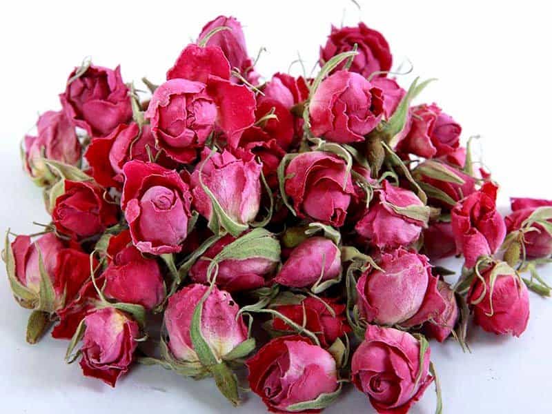 تصویر 1 از غنچه گل محمدی لاله زار کرمان با رنگ طبیعی و زیبا